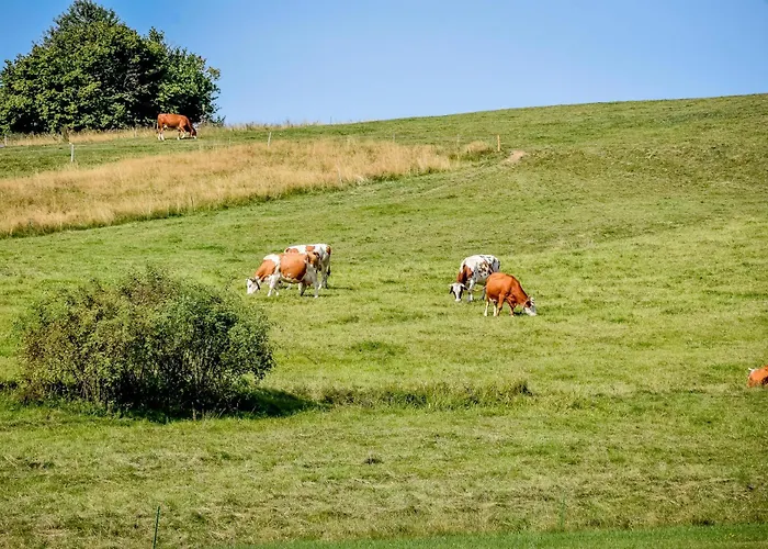 Jaroszowka Z Widokiem Na Gory Σαλέ