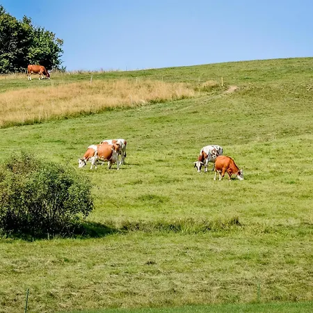 Jaroszowka Z Widokiem Na Gory Alpstuga